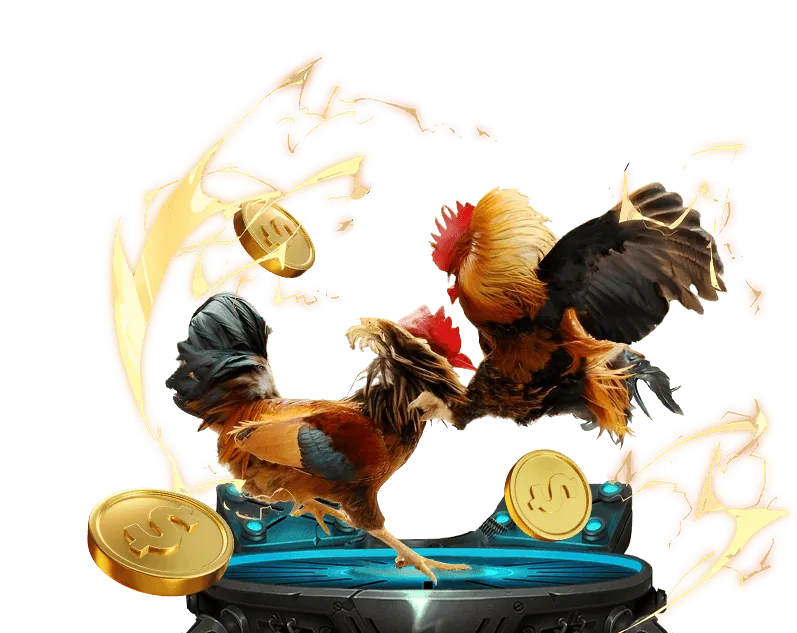 Thanh toán nhanh chóng và phần thưởng lớn